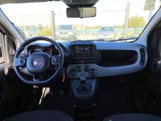 FIAT Panda usata 7