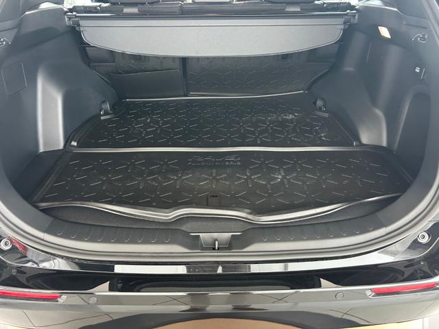 TOYOTA RAV 4 MY23 usata, con Controllo trazione