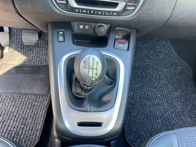 RENAULT Scenic usata, con Servosterzo