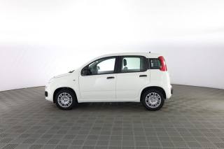 FIAT Panda usata 5