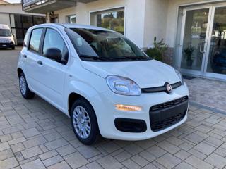 FIAT Panda usata, con Antifurto