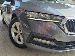 SKODA Octavia usata 123