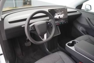 TESLA Model Y usata, con Cronologia tagliandi