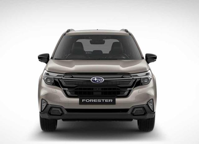 SUBARU Forester usata, con Airbag Passeggero