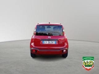 FIAT Panda Cross usata, con Chiusura centralizzata