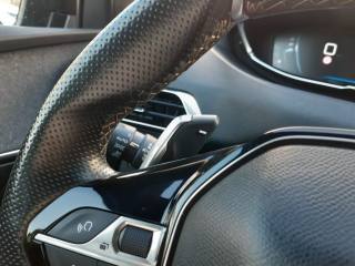 PEUGEOT 3008 usata, con Vetri oscurati