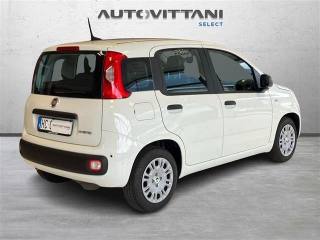 FIAT Panda usata, con Airbag Passeggero