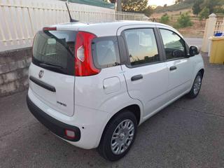 FIAT Panda usata, con Airbag Passeggero