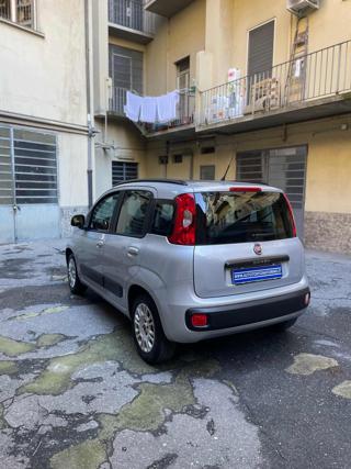 FIAT Panda usata, con Chiusura centralizzata
