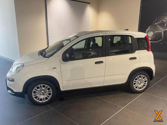FIAT Panda usata, con Alzacristalli elettrici
