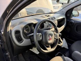FIAT Panda usata, con Alzacristalli elettrici