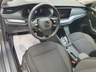 SKODA Octavia usata, con Climatizzatore