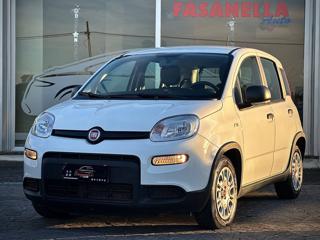 FIAT Panda usata, con Autoradio