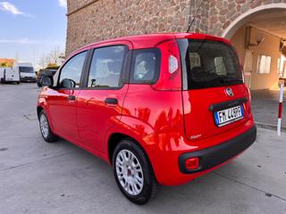 FIAT Panda usata 30