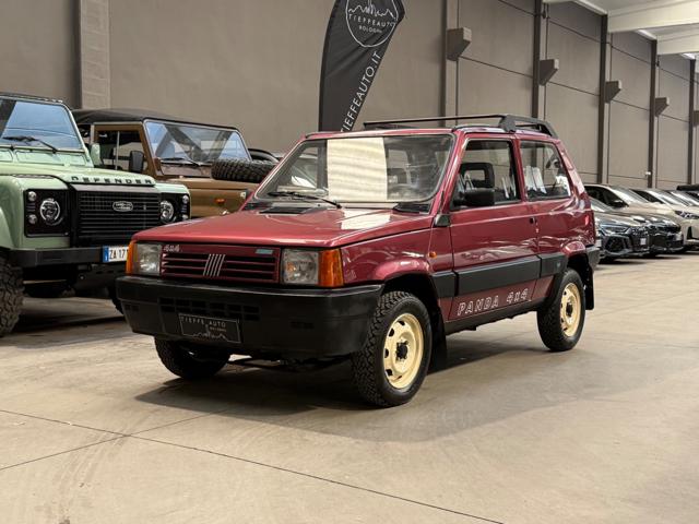 FIAT Panda usata, con Trazione integrale