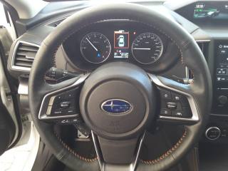 SUBARU XV usata, con Boardcomputer