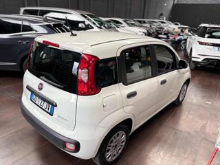 FIAT Panda usata, con Antifurto