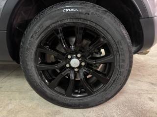 LAND ROVER Range Rover Evoque usata, con Autoradio