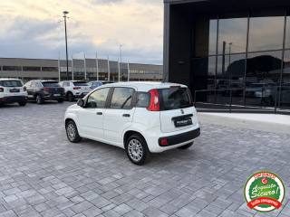 FIAT Panda usata, con Controllo trazione