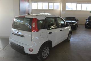 FIAT Panda usata, con Airbag Passeggero