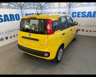 FIAT Pandina usata, con Airbag Passeggero