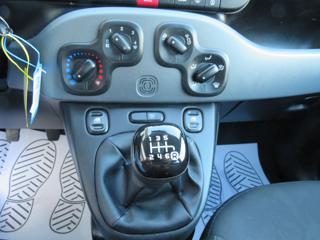 FIAT Panda usata, con Servosterzo