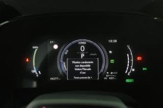 LEXUS RX 450h usata 6