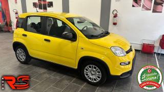 FIAT Panda usata, con Alzacristalli elettrici