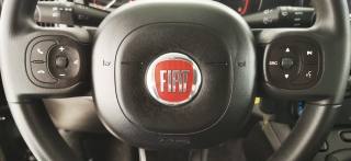 FIAT Panda Cross usata 62