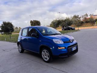 FIAT Panda usata 50