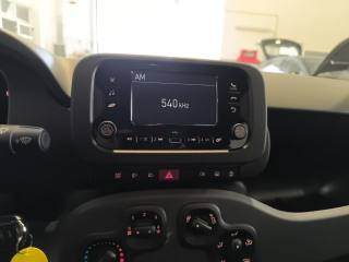 FIAT New Panda usata, con Cruise Control