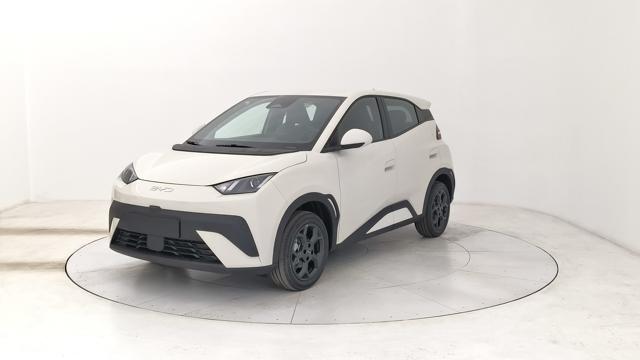 BYD Dolphin Surf usata, con ABS