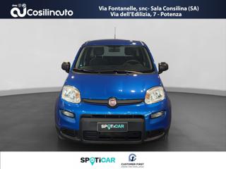 FIAT Panda usata, con Cerchi in lega