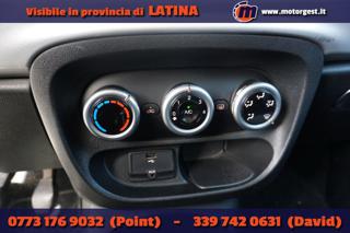 FIAT 500L usata 50