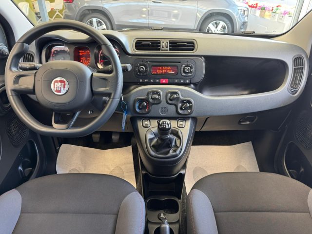 FIAT Panda usata, con Cronologia tagliandi
