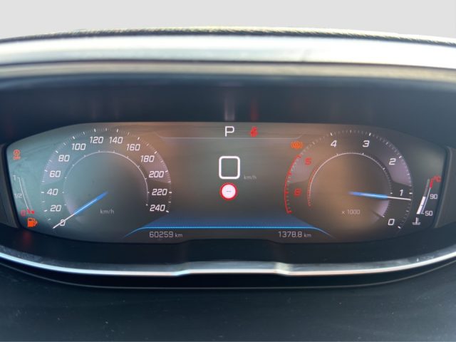 PEUGEOT 3008 usata 14