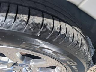 FORD EcoSport usata, con Park Distance Control