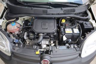 FIAT Panda usata 77