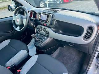FIAT Panda usata 16