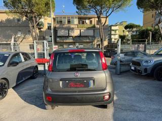 FIAT Panda usata, con Alzacristalli elettrici
