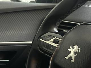 PEUGEOT 3008 usata, con Interni in pelle