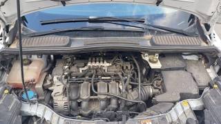 FORD C-Max usata, con Fendinebbia