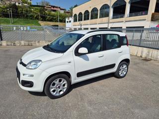 FIAT Panda usata, con Airbag Passeggero