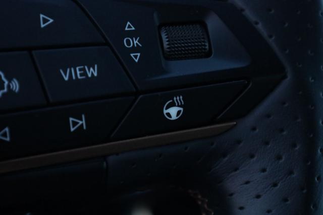 SEAT Leon usata, con Sensore di pioggia