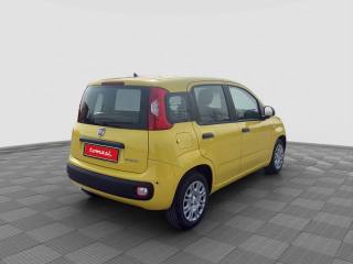 FIAT Panda usata 5