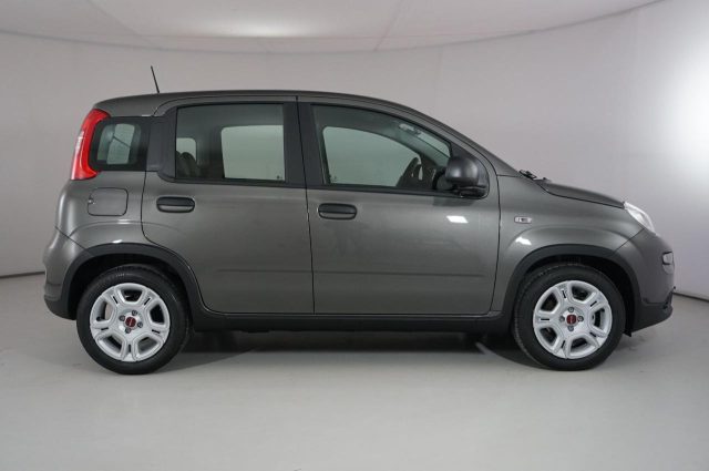 FIAT Panda usata 22