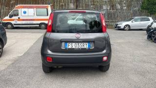 FIAT Panda usata, con Climatizzatore