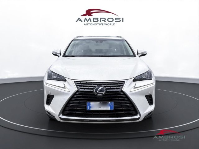 LEXUS NX 300h usata 6