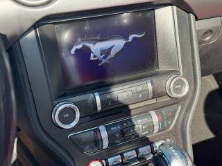 FORD Mustang usata, con Fendinebbia