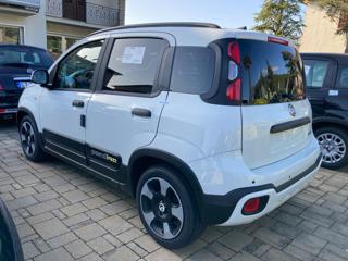 FIAT Panda usata, con Antifurto